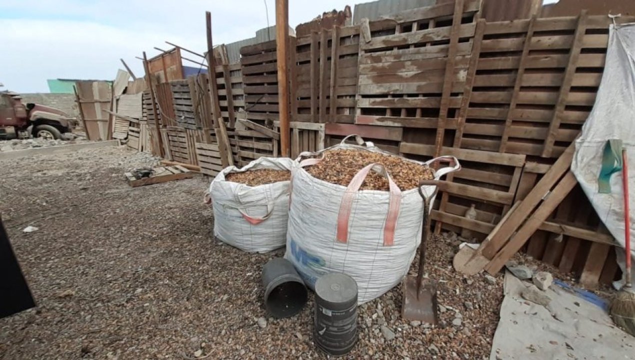 /incautan-mas-de-4-toneladas-de-algas-pardas-procesadas-sin-acreditar-origen