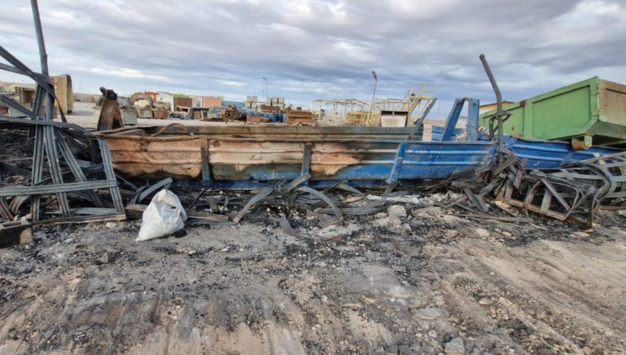 /confirman-intencionalidad-en-incendio-que-mato-a-33-perros-en-refugio-de