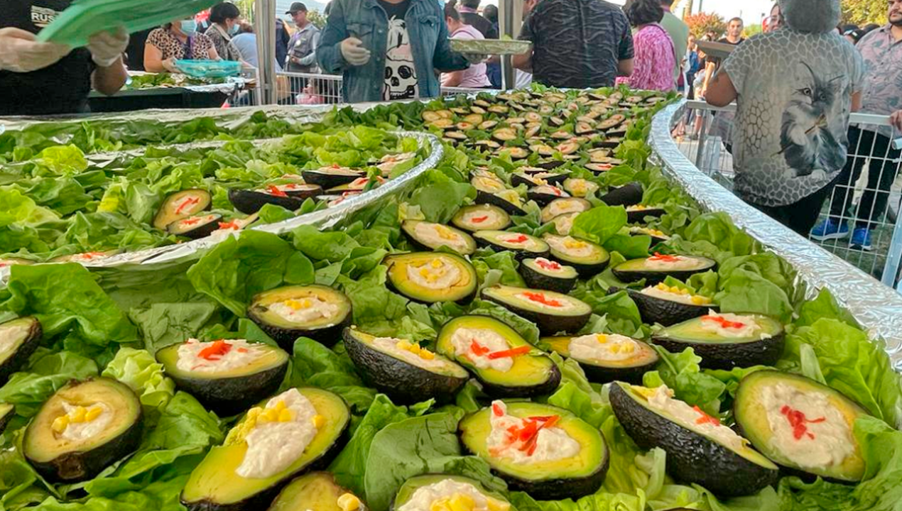 /regionales/region-de-valparaiso/comuna-de-la-cruz-preparo-la-palta-reina-mas-grande-de-chile