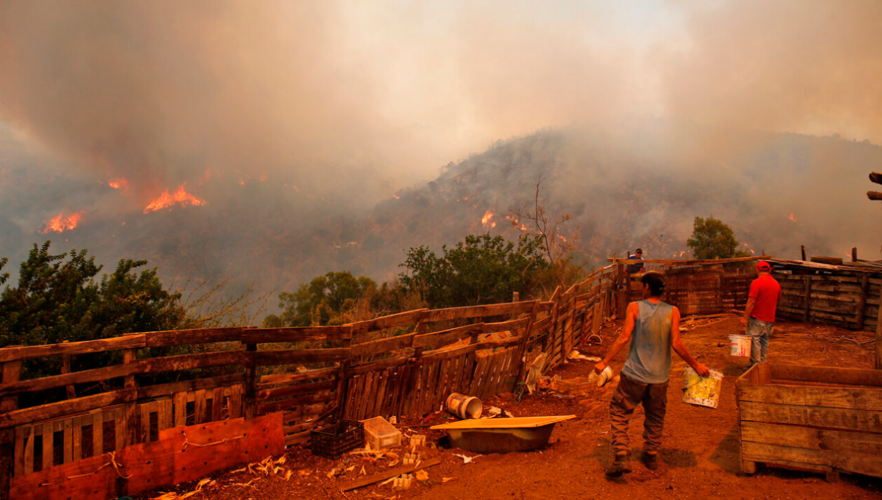 /regionales/region-de-valparaiso/incendio-forestal-de-la-region-de-valparaiso-es-el-mas-mortifero-del-mundo