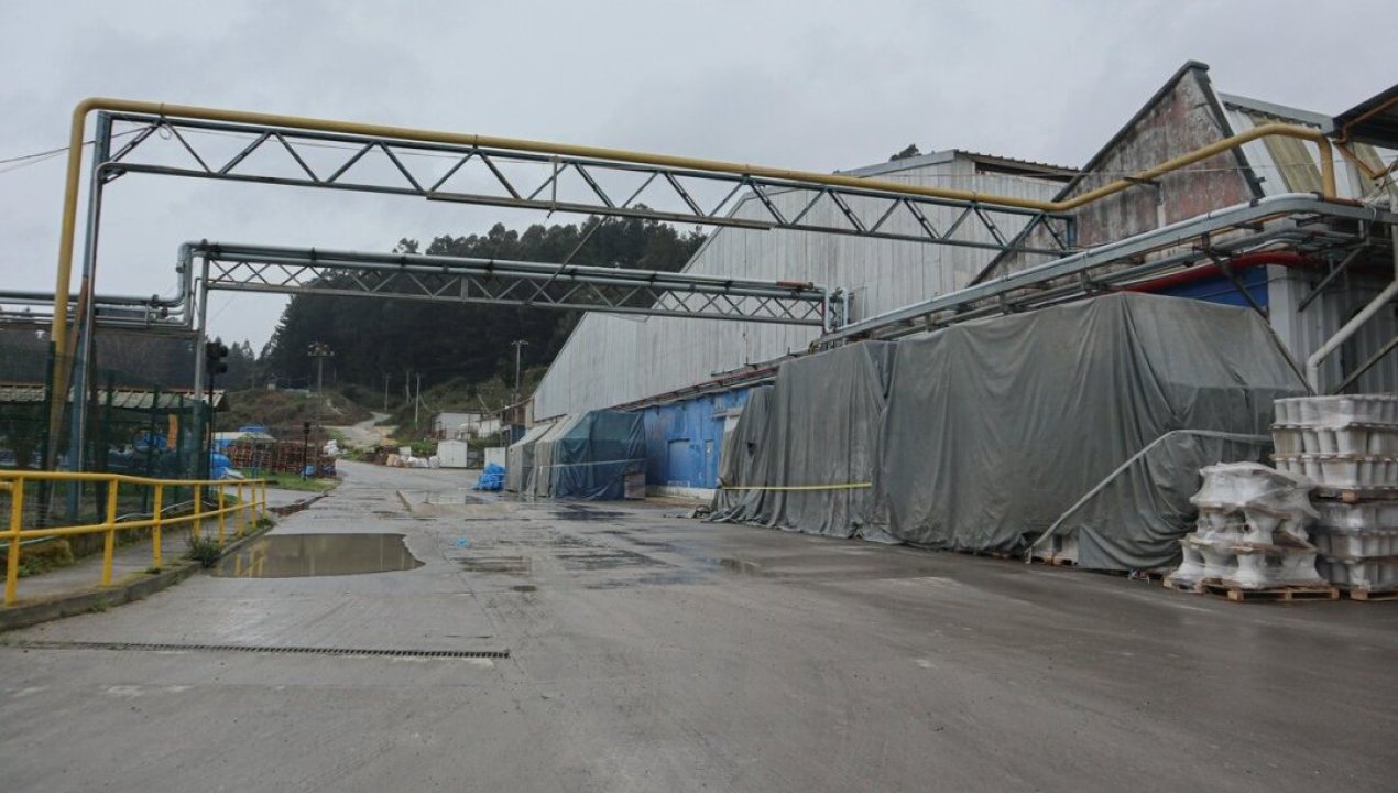 /actualidad/otra-marca-internacional-que-se-cae-a-pedazos-llega-a-chile