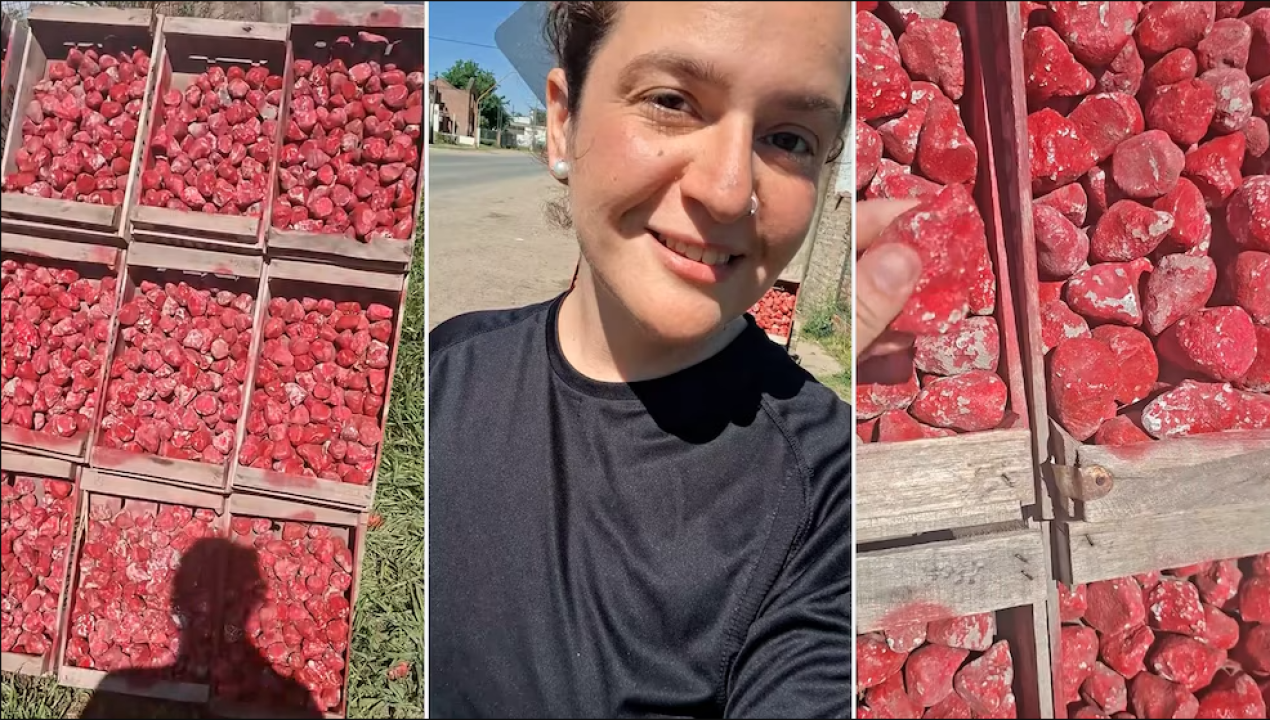 /ingenio-argentino-las-frutillas-que-resultaron-ser-piedras-pintadas-en